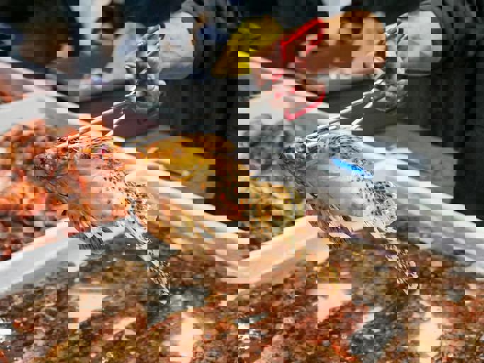 Mobile Fish Markets Revitalizing Waterfront Neighborhoods Weekly